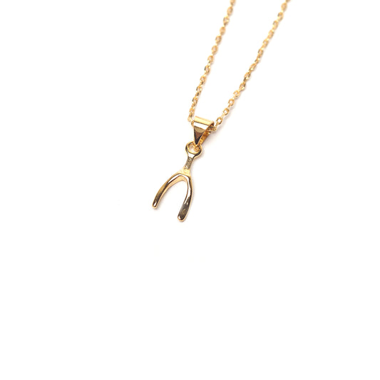 Wishbone double layered necklace